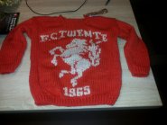 foto Logo FC Twente 2