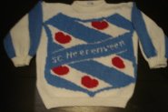 foto Logo sc Heerenveen